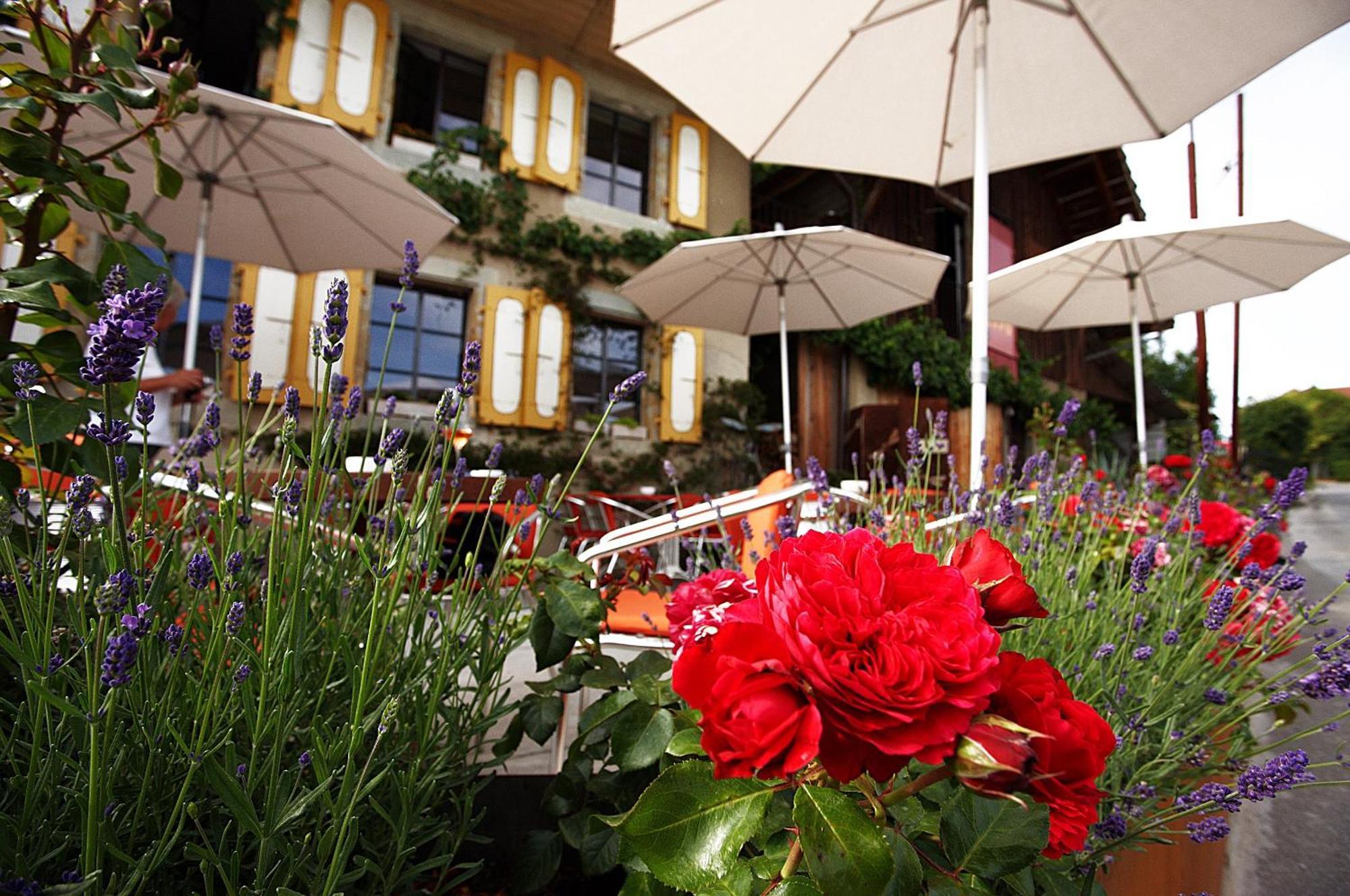 Bnb Belle5 Vully-les-Lacs エクステリア 写真