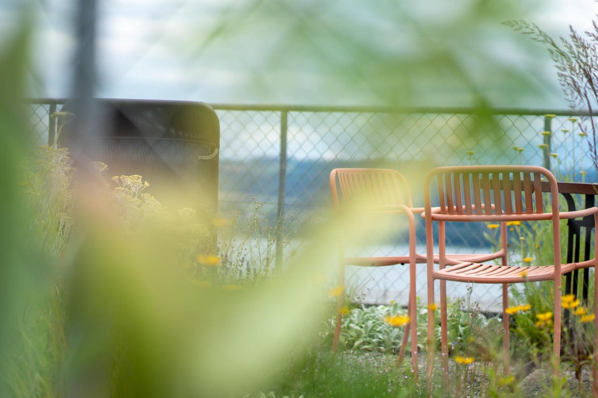 Bnb Belle5 Vully-les-Lacs エクステリア 写真