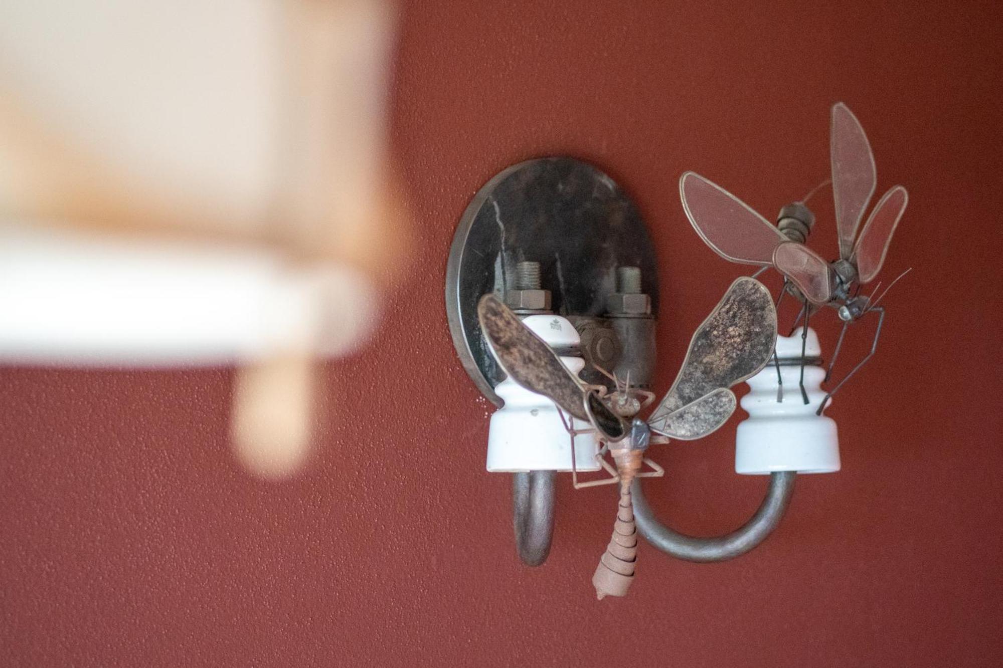 Bnb Belle5 Vully-les-Lacs エクステリア 写真